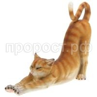 кот рыжий 458 кот рыжий 458