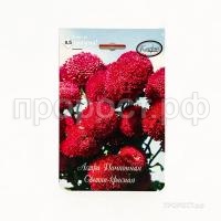 Астра Помпонная светло-красная Совершенство 200,5 Каприс Астра Помпонная светло-красная Совершенство 200,5 Каприс