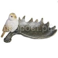 птичка лосин