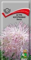 Астра коготковая Бенгал Астра коготковая Бенгал