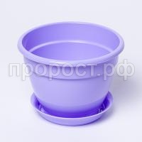 IMG_9318 IMG_9318