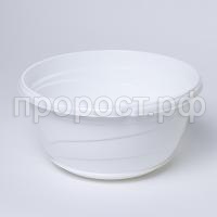 IMG_9389 IMG_9389