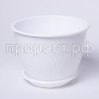 IMG_9470 IMG_9470