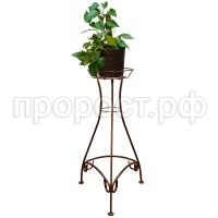 П195717_0 П195717_0