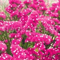 Без названия (6) Без названия (6)