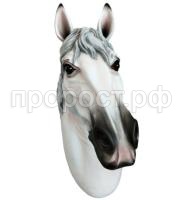 голова белая