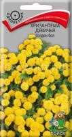 Хризантема девичья Голден бол Хризантема девичья Голден бол