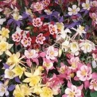 Без названия (13)