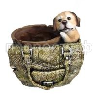 щенок в сум щенок в сум