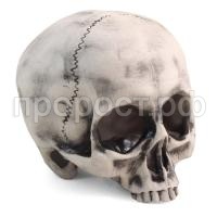 Грот капитан флинт Грот капитан флинт