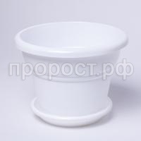 IMG_9398 IMG_9398
