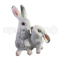 пара зайчиков бел пара зайчиков бел