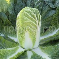 НоменклатураПрисоединенныеФайлы НоменклатураПрисоединенныеФайлы