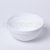 IMG_9286 IMG_9286