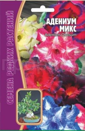 Адениум Микс 3 шт
