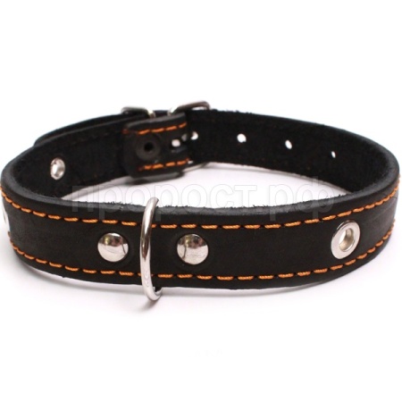 Ошейник кожа 35мм 1слойный безразмерный 63-65см/40991/Бим