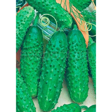 Гавриш Фермерская Огурец Гирлянда F1 100шт 