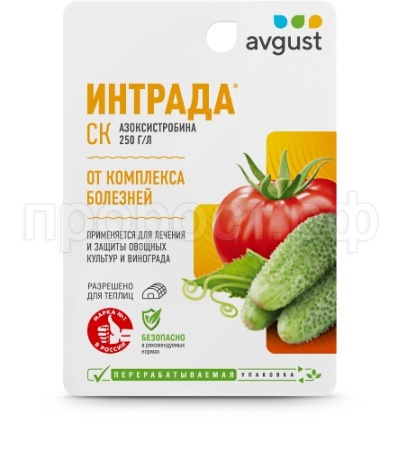 Интрада 10мл Август 