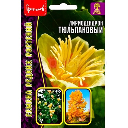 Лириодендрон Тюльпановый (Тюльпановое дерево) 5шт 