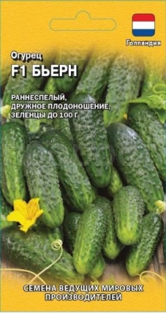 Огурец Бьерн F1 5шт