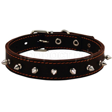 Ошейник кожа 35мм двойной с шипами 50-59см/00035110/Каскад