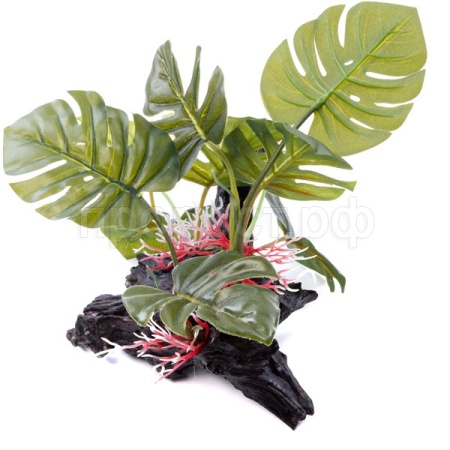 Грот LUCKY REPTILE Forest 28.5x27x23.5 см (Германия) FWP-1 Грот LUCKY REPTILE Forest 28.5x27x23.5 см (Германия) FWP-1