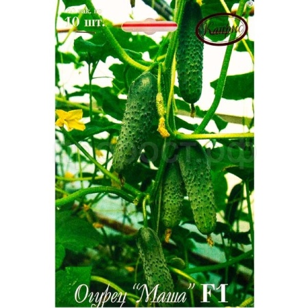 Огурец Маша F1 20*10шт