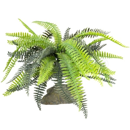 Растение LUCKY REPTILE Bamboo Fern 25см (Германия) IF-101 Растение LUCKY REPTILE Bamboo Fern 25см (Германия) IF-101