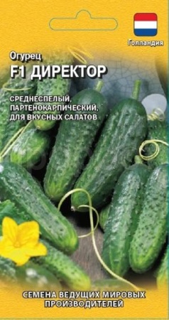 Огурец Директор F1 5шт
