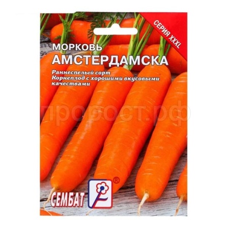 Морковь Амстердамска 10г