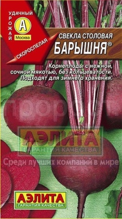 Свекла Барышня 