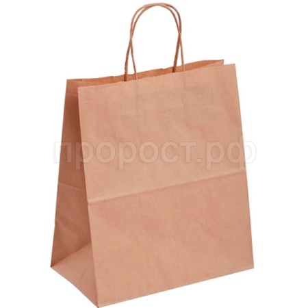 БУМ61096 Пакет 240*140*280мм бумажный с кручеными ручками крафт 70 /250шт/ БУМ61096 Пакет 240*140*280мм бумажный с кручеными ручками крафт 70 /250шт/