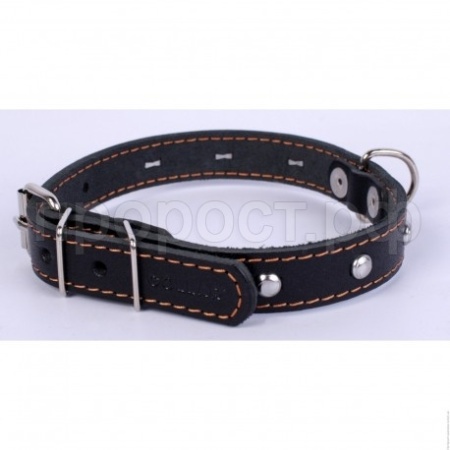 Ошейник кожа 17мм 1слойный с украшением 35-40см/40540/Бим