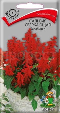 Сальвия сверкающая Карабинер 0,1г