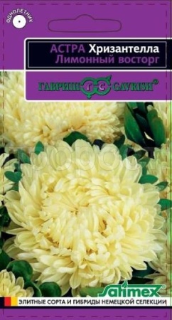 Астра Хризантелла Лимонный восторг 0,05 г