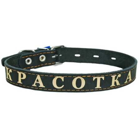 Ошейник кожа 26мм 1слойный на фетре прямой с надписью 53-58см/110000/Бим