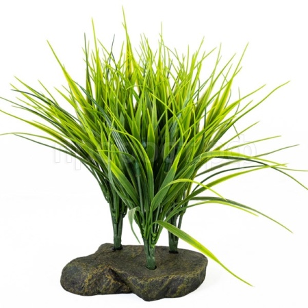 Растение LUCKY REPTILE Sumatra Grass 20см (Германия) IF-67 Растение LUCKY REPTILE Sumatra Grass 20см (Германия) IF-67
