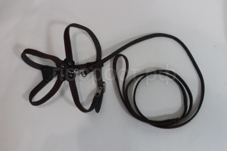 Комплект для собак и кошек (поводок кожа 1,3м + шлейка кожа 7мм)/140312/Бим