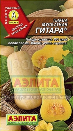 Тыква мускатная Гитара 1г