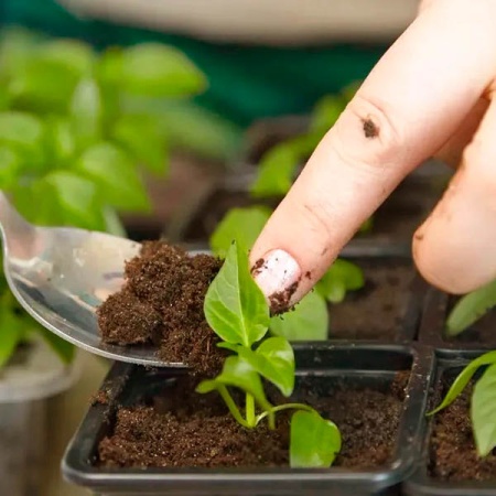 Грунт Сад Чудес 2,5л Азалия