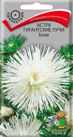 Астра Гигантские лучи Белая 0,3г 