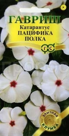 Катарантус Пацифика Полка 5шт