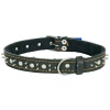 Ошейник кожа 25мм с украшением и шипами на фетре 38-40см/40786/Бим
