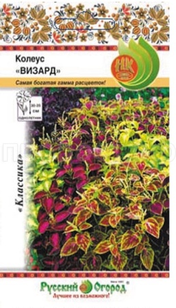 Колеус Визард смесь 10шт