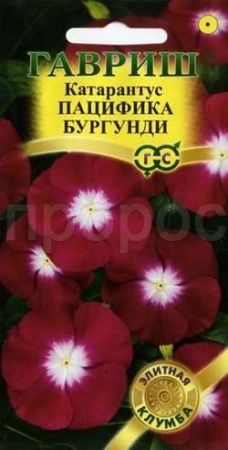 Катарантус Пацифика Бургундия 5 шт