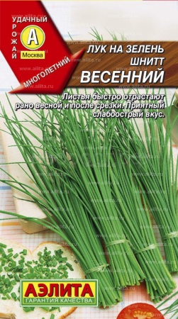 Лук на зелень шнитт Весенний 