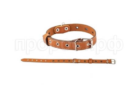 Ошейник кожа 25мм 1сл Стандарт безразмерный рыжий до 56см/010125рыж/Дарэлл