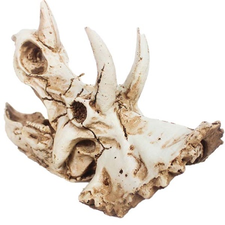 Грот Череп трицератопса Nomoy Pet 16х8х11см M/NMP-NS-114