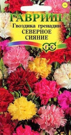 Гвоздика гренадин Северное сияние смесь 0,1г