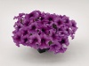 Петуния крупноцв. драже SUCCESS 360° Purple F1 10шт.